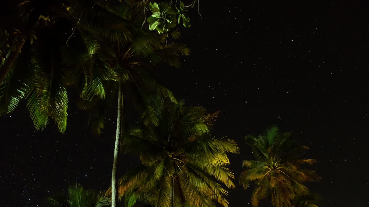 timelapse de estrellas nocturnas con palmeras en koh jum golden pearl beach, tailandia