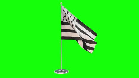 brittany d looping illustration of small flag pole on chroma key background