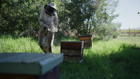 an unrecognizable male beekeeper working