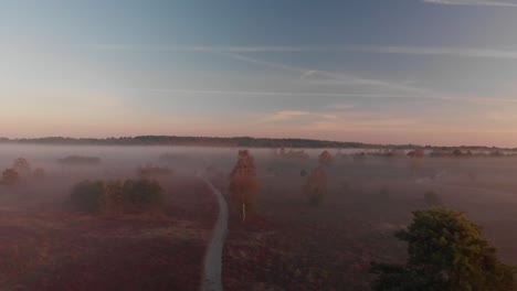 Aerial-view-of-early-morning-misty-landscape-of-moorland-with-purple-heather,-trees-and-wider-landscape-at-sunrise