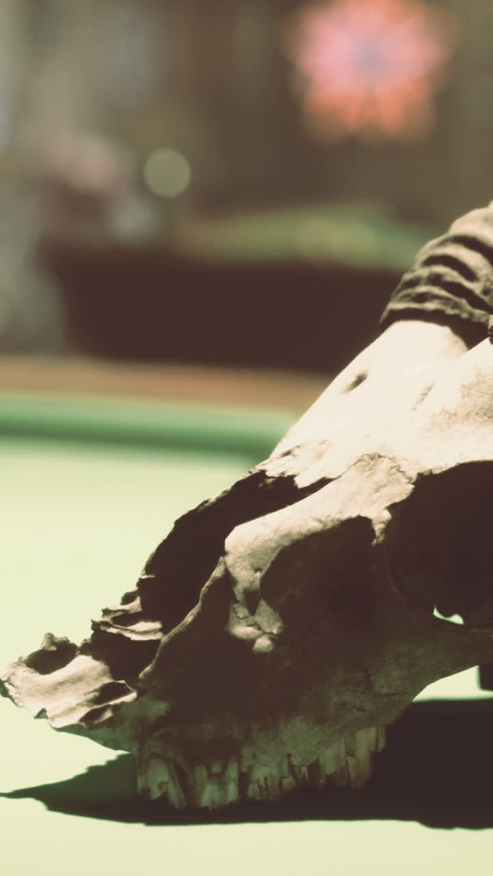 Decorative goat skull on a billiard table displaying vintage ambiance