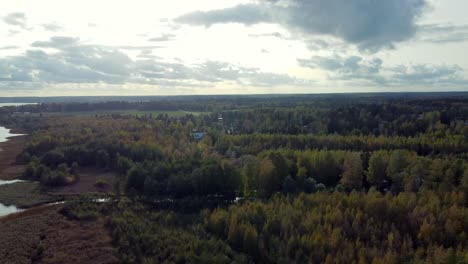 Fly-over-a-native-pine-forest-on-a-sunny-day-in-the-spring-season,-careful-microclimate-with-houses-away-from-the-hustle-and-bustle-Järvenpää-in-Finland