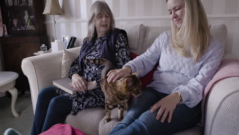 women petting a cat on a couch