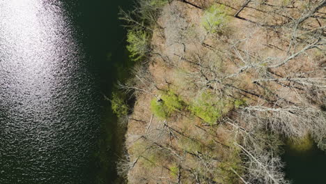 Glen-Springs-Lake-And-Early-Spring-Forest-Trees-In-Drummonds,-Tennessee