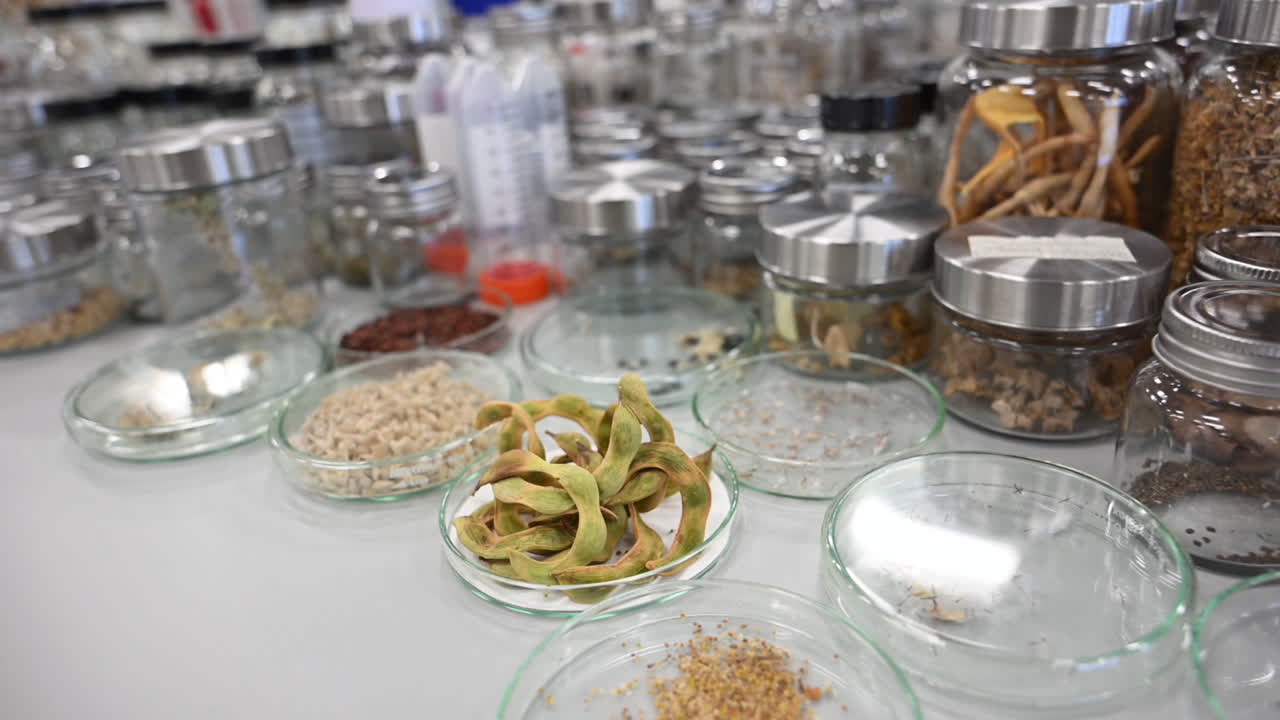 A wide variety of plants and seeds are preserved at the Plant Preservation Centre in the UAE