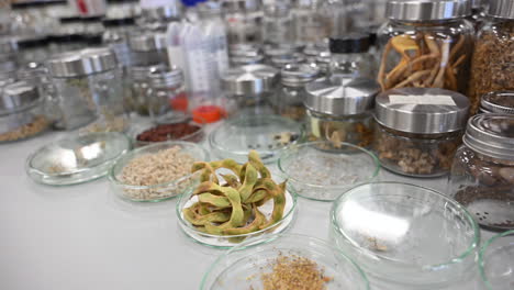 a wide variety of plants and seeds are preserved at the plant preservation centre in the uae