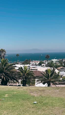 coastal city view with palm trees