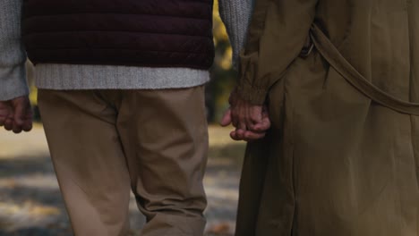 Rear-view-of-caucasian-couple-walking-at-the-park-and-holding-hands