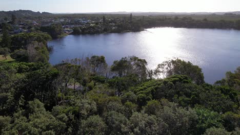 paperbark and tea trees on shore of lake ainsworth in lennox head, new south wales, australia. aerial shot
