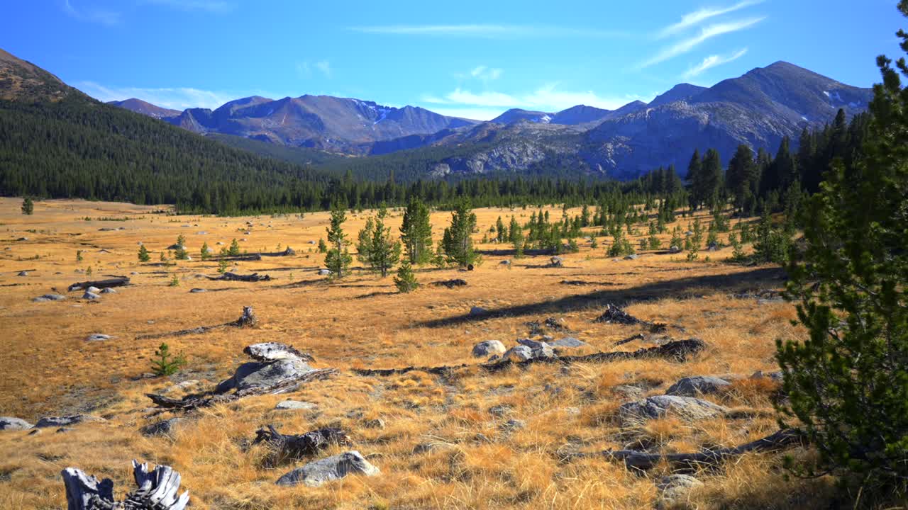 Tioga Pass plains Yosemite National Park West Portal entrance wilderness forest rugged rocky formation terrain California Lee Vining forest sunny blue sky Sierra Nevada Mountain nature slider left