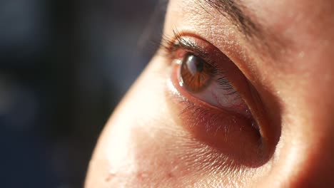primer plano del ojo de una mujer.
