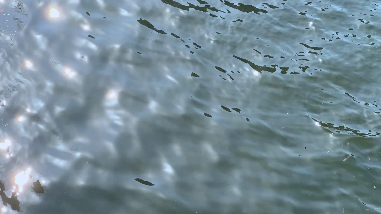 빛이 조용한 물 표면의 부드러운 파동에 반사되어 평온함을 암시합니다.