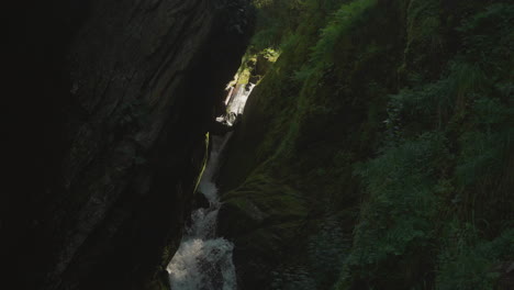 mountain river flows through narrow rocky gorge and falls as waterfall. natural reservoir in mountainous area. large rocks covered with vegetation