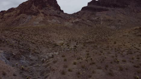 Luftaufnahmen-Von-Bergen-Und-Kakteen-In-Der-Nähe-Von-Oatman-Und-Der-Route-66-In-Arizona