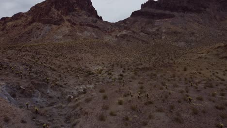 imágenes aéreas de montañas y cactus cerca de oatman y la ruta 66 en arizona