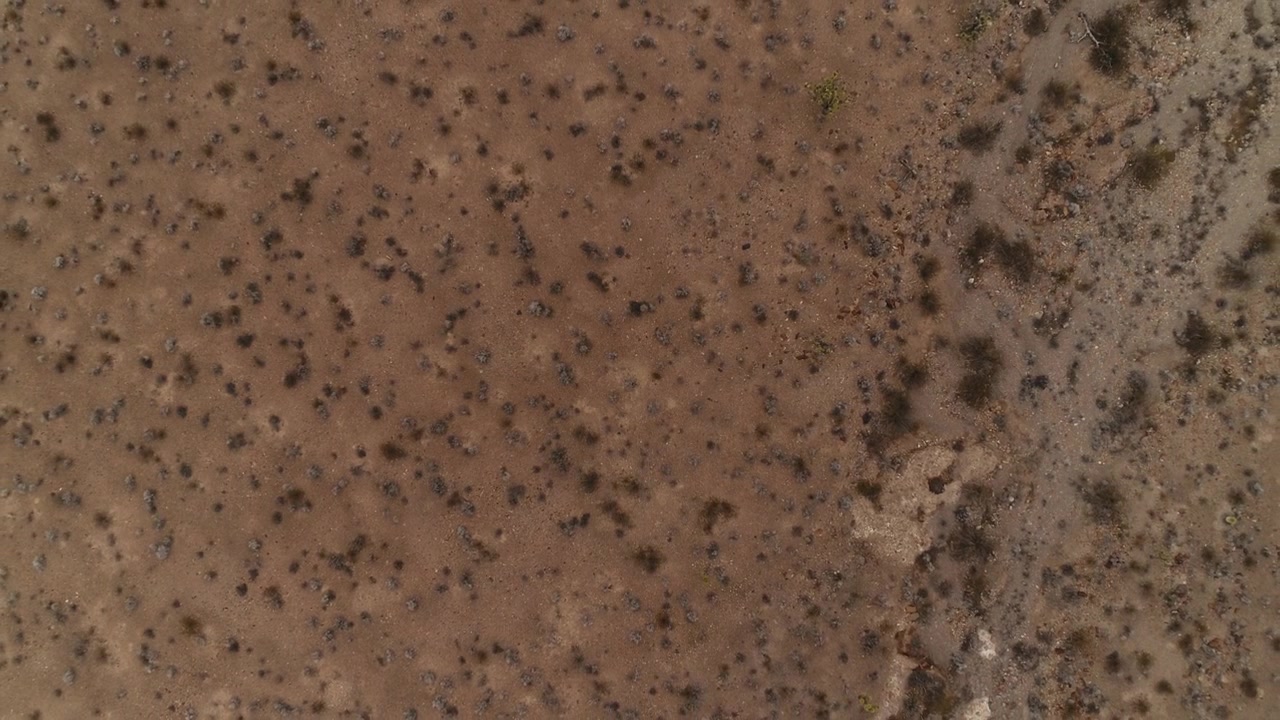 Aerial Top-Down View of Dry Desert Landscape with Sparse Bushes
