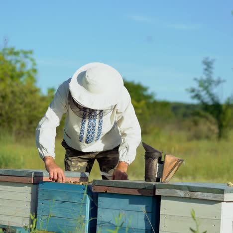 a man in a protective suit and hat holds a frame with honeycombs of bees in the garden