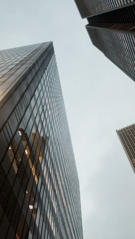 tall skyscrapers in the city