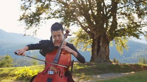 cellist playing outdoors in a scenic mountainous landscape