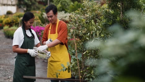 gardeners working outdoors