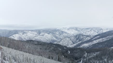 drone shot of snow covered mountains and forest with ariel footage moving downward