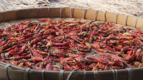 panorámica sobre chiles secándose al sol