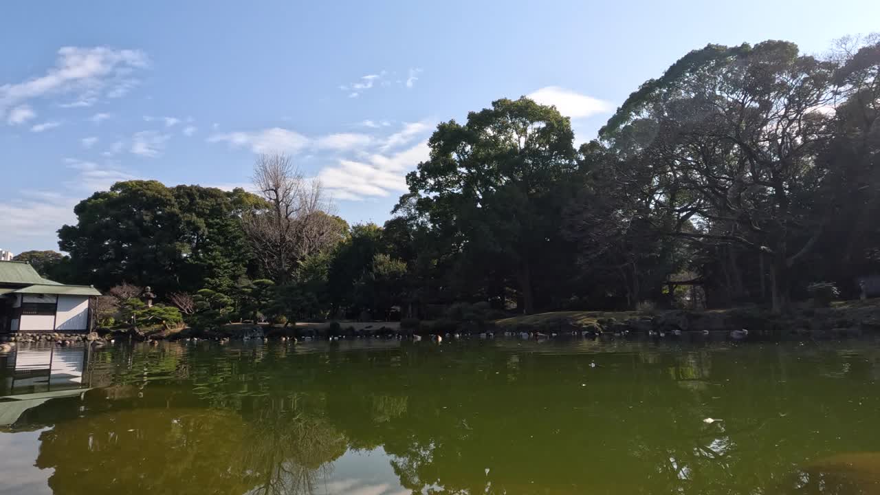 평온한 물은 도시 공원의 나무와 건물을 반영합니다.