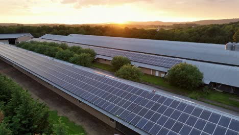 solar panels installed on roof of barn building during golden sunset. aerial flyover wide shot. modern rural farmstead in pennsylvania,usa. peaceful countryside farm in united states.