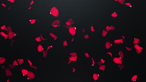 fyling petals of roses with on an black background