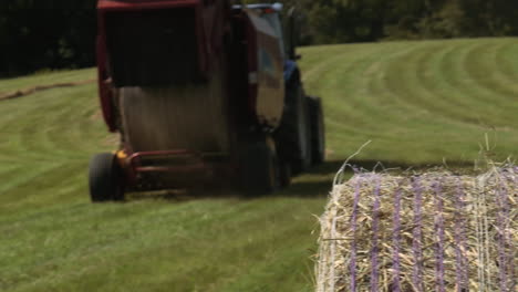 Late-summer-preparations-on-quaint-farmlands