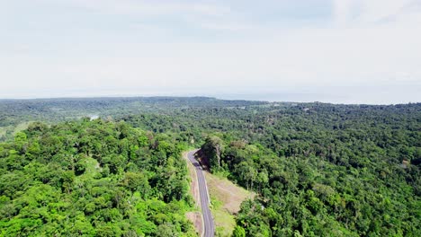 Largo-Camino-A-Través-De-Los-Bosques