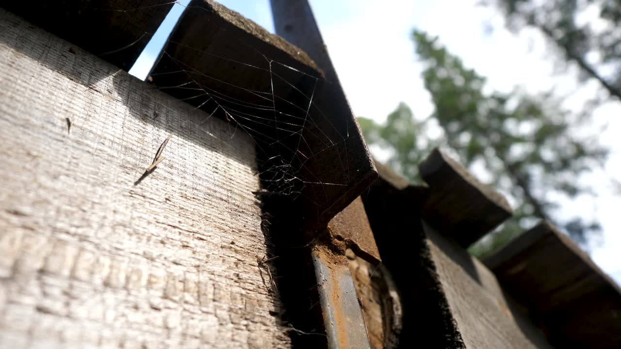 금속 지원과 거미줄을 가진 나무 울타리