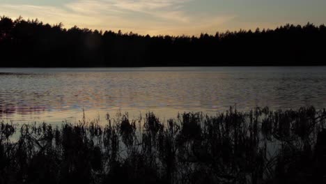 Hermosas-Aguas-Tranquilas-Del-Lago-De-Kurzeme-Letonia-Después-Del-Anochecer,-Plano-General