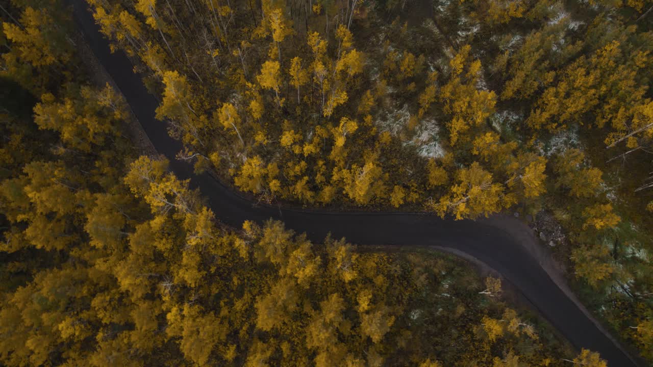 Bird's eye view over dark narrow Alpine loop road among yellow fall forest