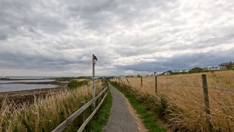 a steady camera moves along a narrow path bordered by tall grass, approaching a lighthouse near the coast under dramatic overcast lighting