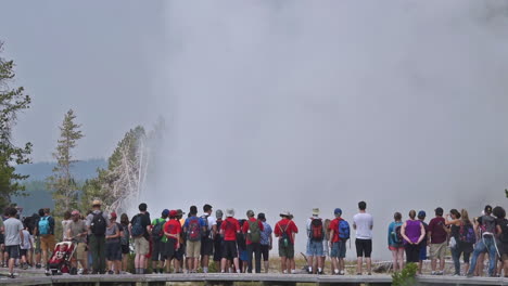 a large group of tourists observe the eruption of old faithful geyser in yellowstone national park