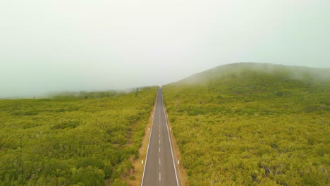 Carretera-Aérea-Elevada-En-Las-Verdes-Montañas-De-Madeira-Durante-El-Día-Gris-Y-Brumoso