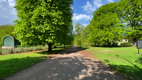 on the path in a green park