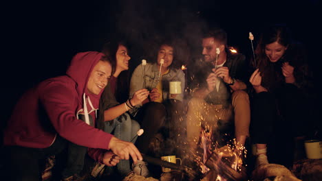 friends enjoying campfire marshmallows