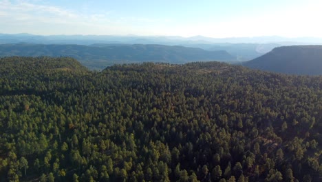 edge of the mogollon rim east of payson, arizona