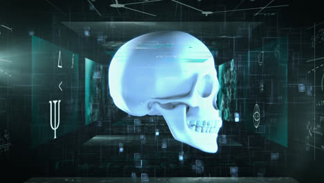 animation of human skull with math formulae on screens