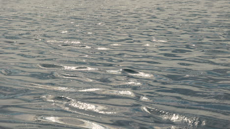 calm ocean water on a sunny day