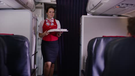 flight attendant serving meal on airplane