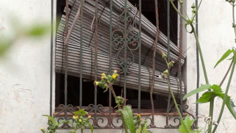 a window of an abandoned building with bars and broken blinds.