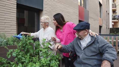 elderly care and gardening activities