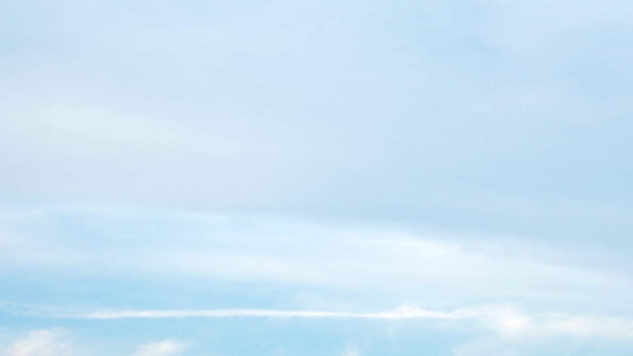 사람들이 손을 들고