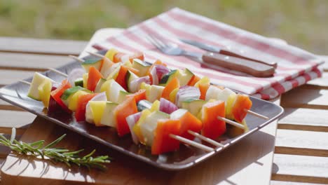 Vegetable-kabob-on-plate-close-up