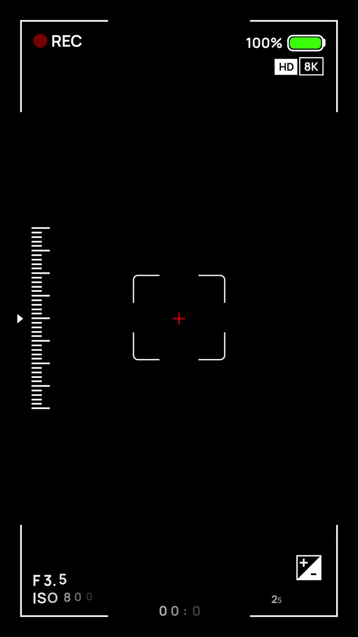 Vertical Camera Recording Overlay