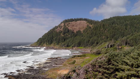coastal oregon landscape with waves and forest