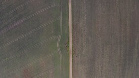 volando sobre nuevos campos agrícolas simétricos y camino recto